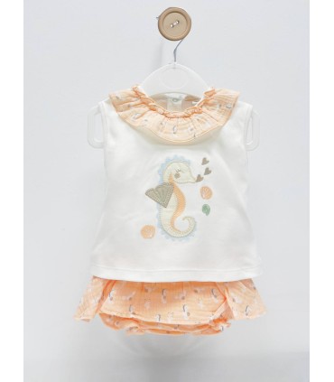 Conjunto braga volante caballito de mar