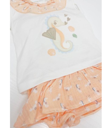 Conjunto braga volante caballito de mar