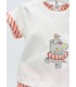 Conjunto elefante flotador