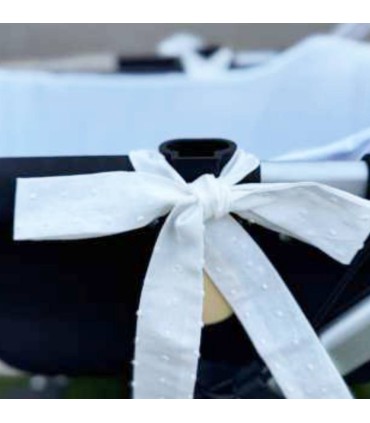 Funda rigida plumeti